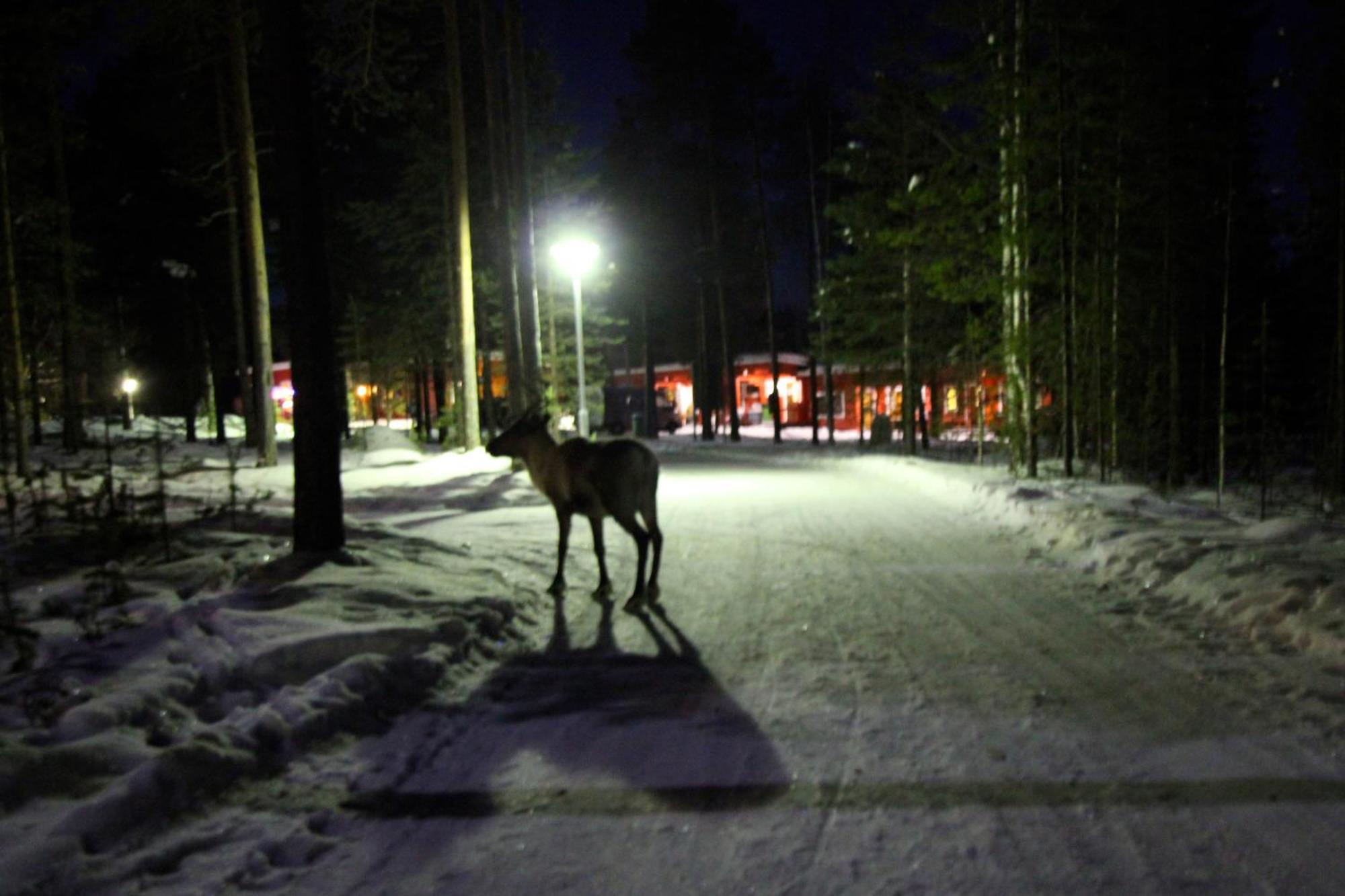 Ukonjaerven Holiday Village Ivalo Esterno foto